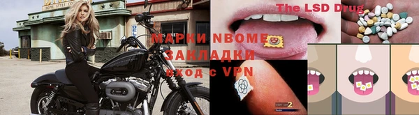 крисы Богородск