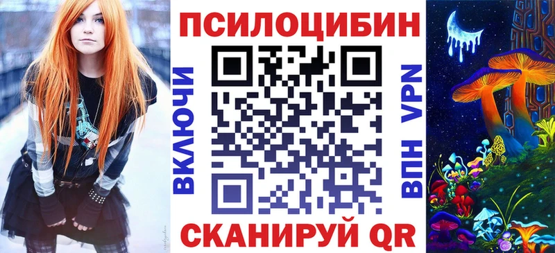 Купить  Киреевск  Псилоцибиновые грибы Cubensis 