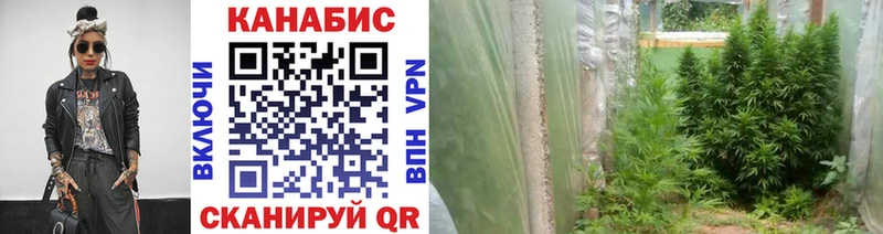 Купить где  Киреевск  Бошки Шишки LSD WEED 